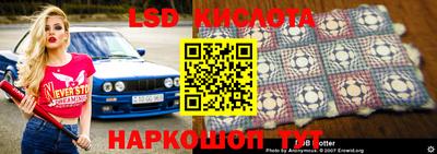 герыч Кингисепп