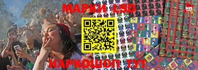 герыч Кингисепп