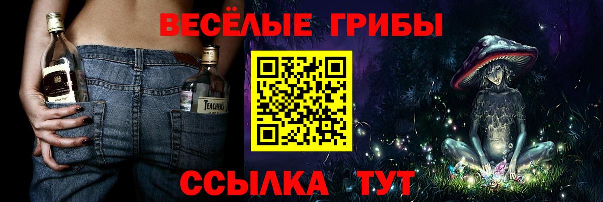 Псилоцибиновые грибы мицелий Кострома
