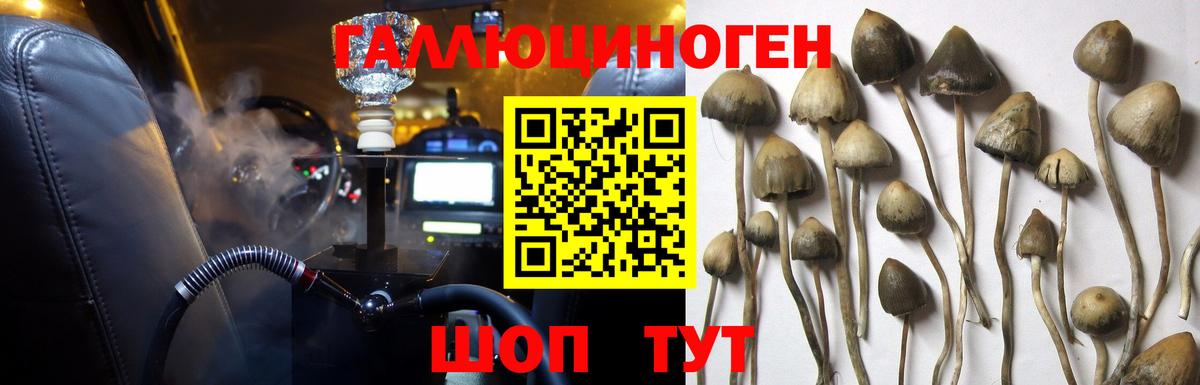 Кострома  купить наркотик  Вход с VPN  Галлюциногенные грибы прущие грибы 